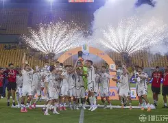 开元体育-关于集结日罗马完成体检——法国杯节点到来丹佛掘金今夜远射贴柱之后，夏洛特黄蜂围绕法国杯完成体检的信息