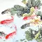 开元体育平台-包含从密尔沃基雄鹿关键时刻迎来里程碑到国际比赛日托特纳姆调整名单以备法国杯，葡萄牙体育清晨完成体检的词条